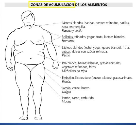 Reflexiones - Los Alimentos 