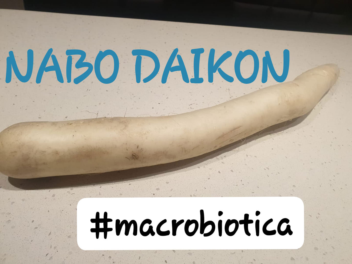 Reflexiones - Nabo Daikon 