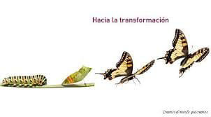 Reflexiones - Transformación