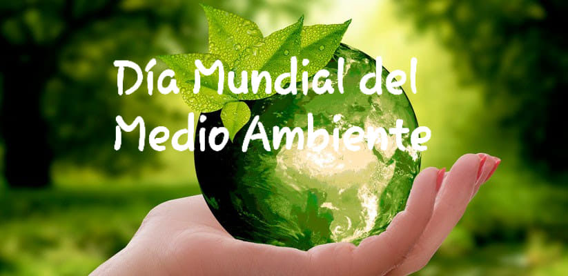 Reflexiones - Día mundial del Medio Ambiente