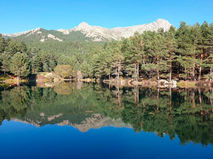 Reflexiones - La Ley del Espejo