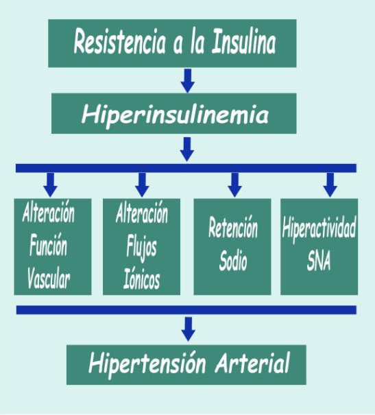 Hiperinsulemia