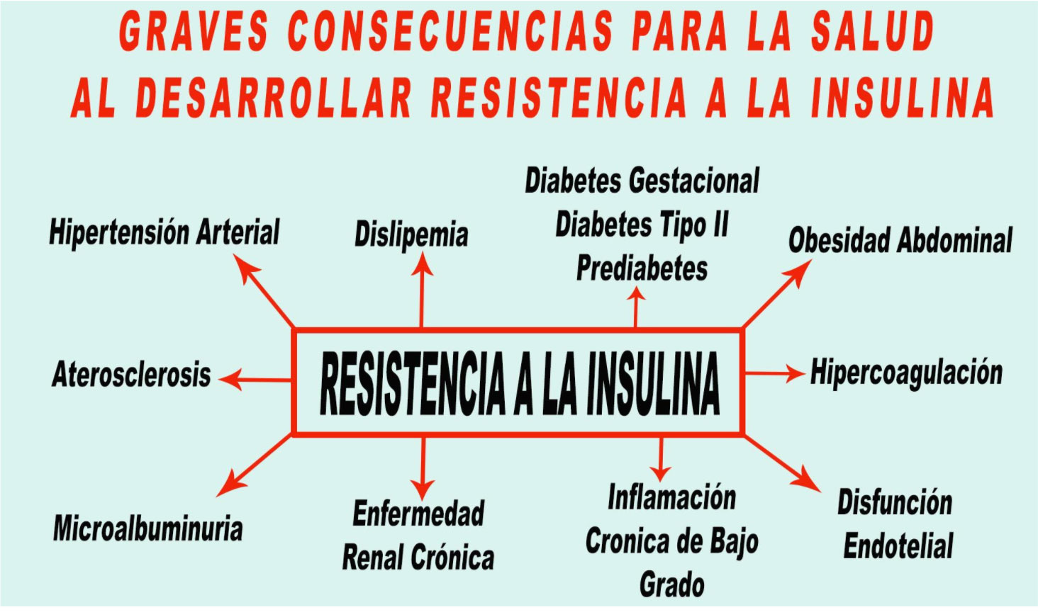 Graves consecuencias para la salud al desarrollar resistencia a la insulina