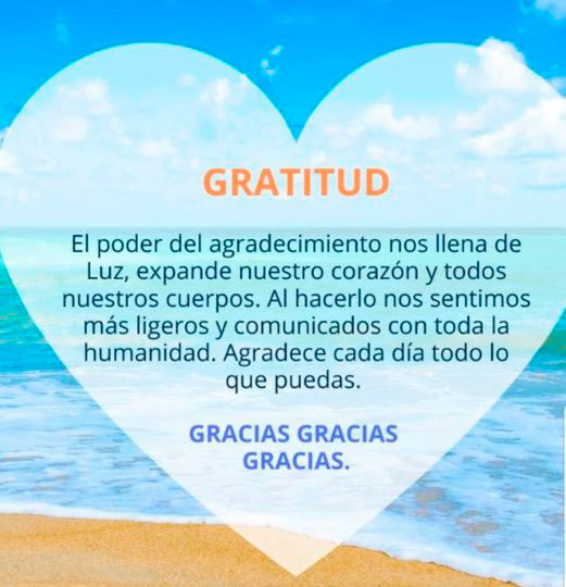 Reflexiones - Gratitud