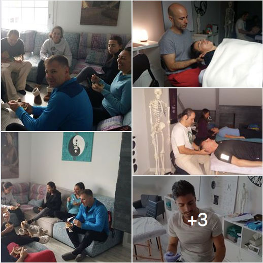 Resumen - Curso de Osteopatía Sacro Craneal 