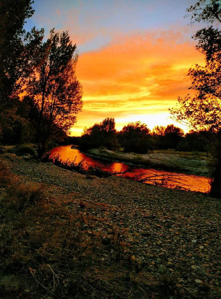 Reflexión- Ya está aquí el Otoño