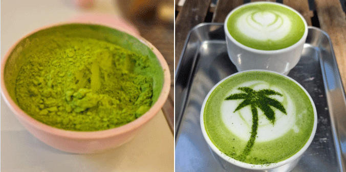 Curiosidades - Te Matcha 