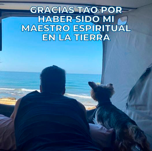 Reflexiones - Namaste Tao 